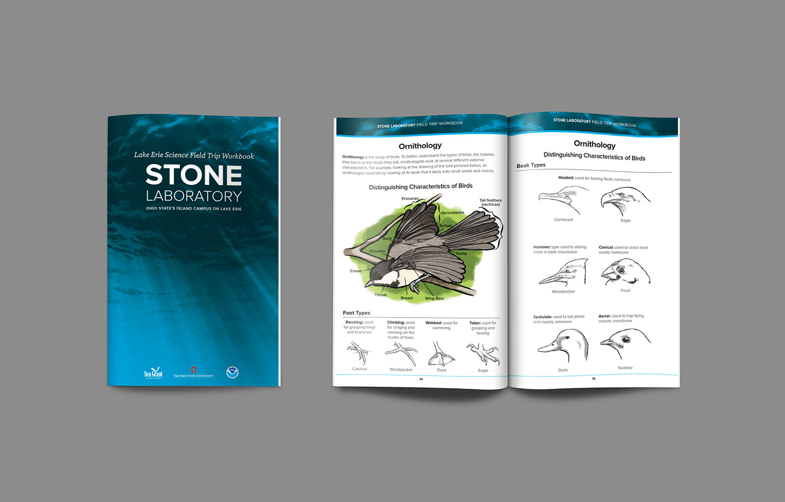 Ohio State University Stone Lab Handbook Art